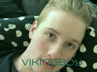 VikingBoy