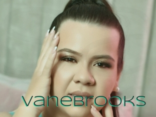 Vanebrooks