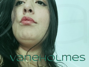 Vaneholmes