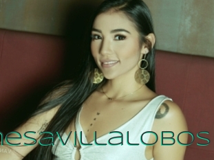 Vanesavillalobos