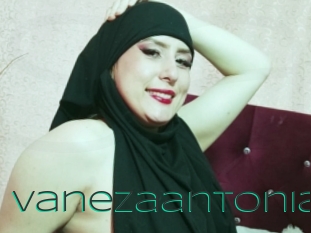 Vanezaantonia