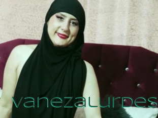 Vanezalurdes