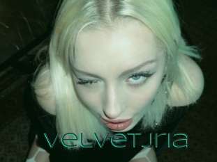 Velvetjria
