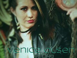 Venice_olsen