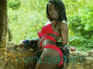 Venusbsbq
