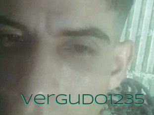 Vergudo1235