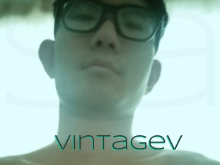 Vintagev