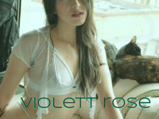 Violett_rose