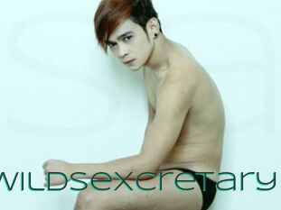 WildSeXcretary