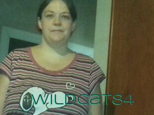 Wildcat84