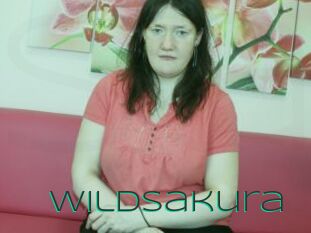 Wildsakura