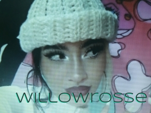 willowrosse Sex Agent
