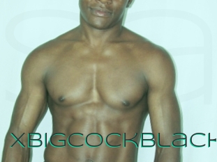 xbigcockblack Sex Agent