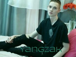 YangZak