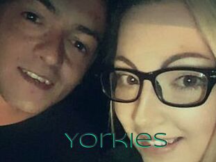 Yorkies