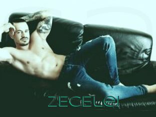 ZECElei