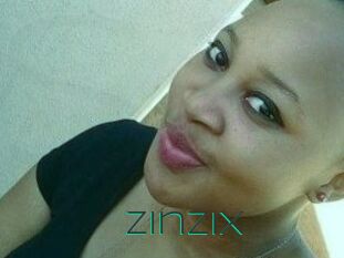ZinziX