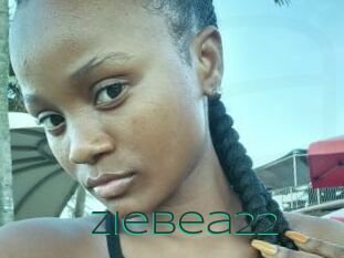 Ziebea22